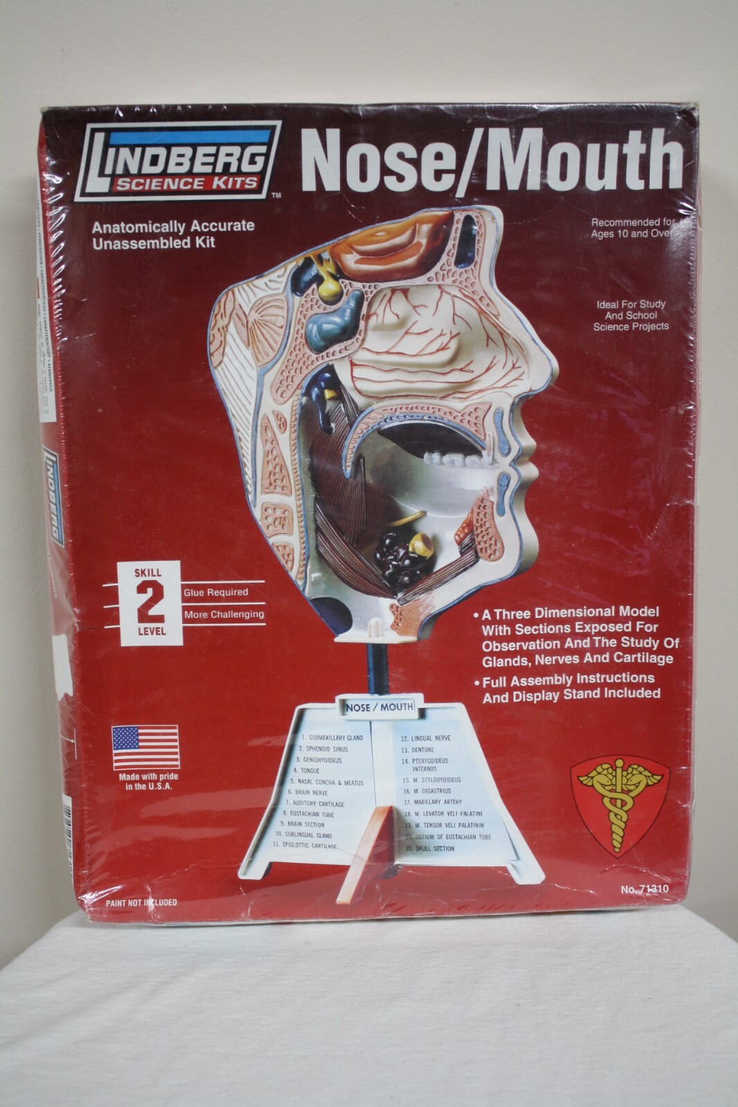 NEW Lindberg Life Size Human Nose and Mouth Anatomy 3D Model Kit 1:1 Scale