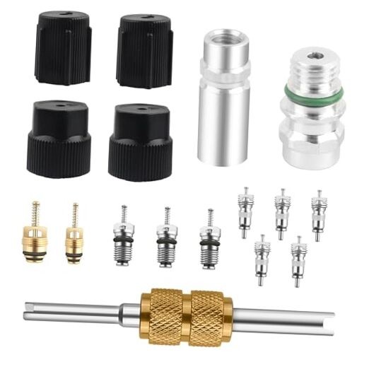 17PCS AC Valve Core Kit for Car Air Conditioning Repair,R12 to R134a