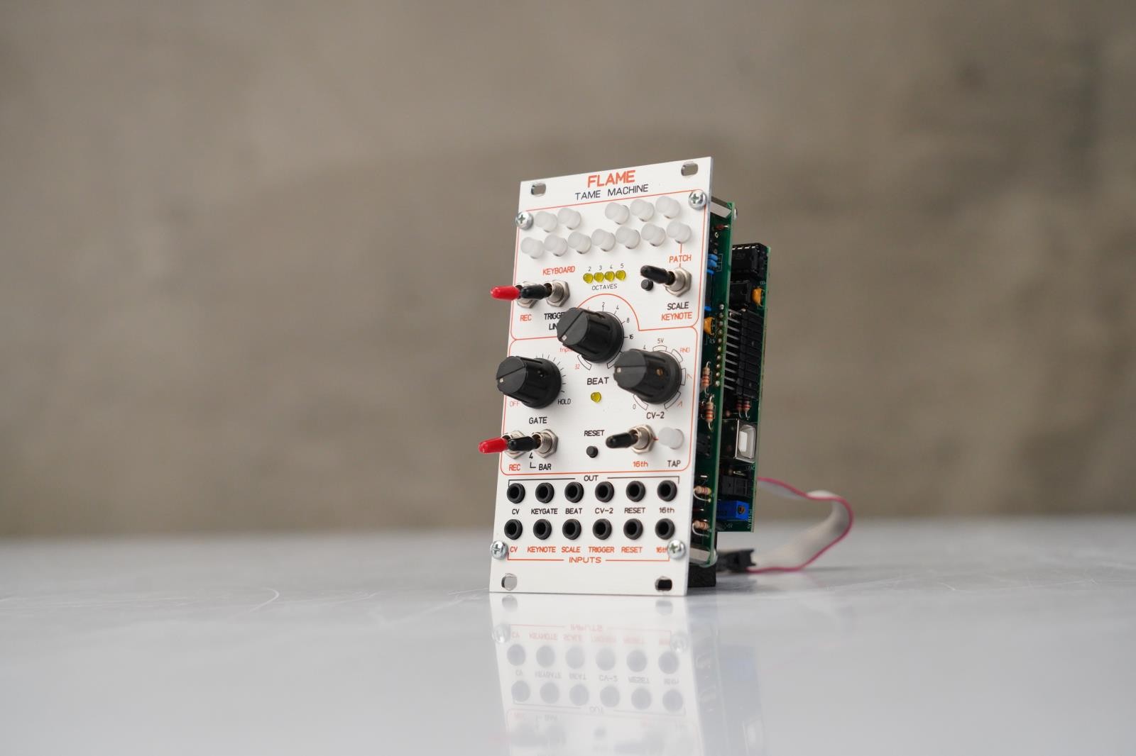 Flame Tame Machine Eurorack Module #58514