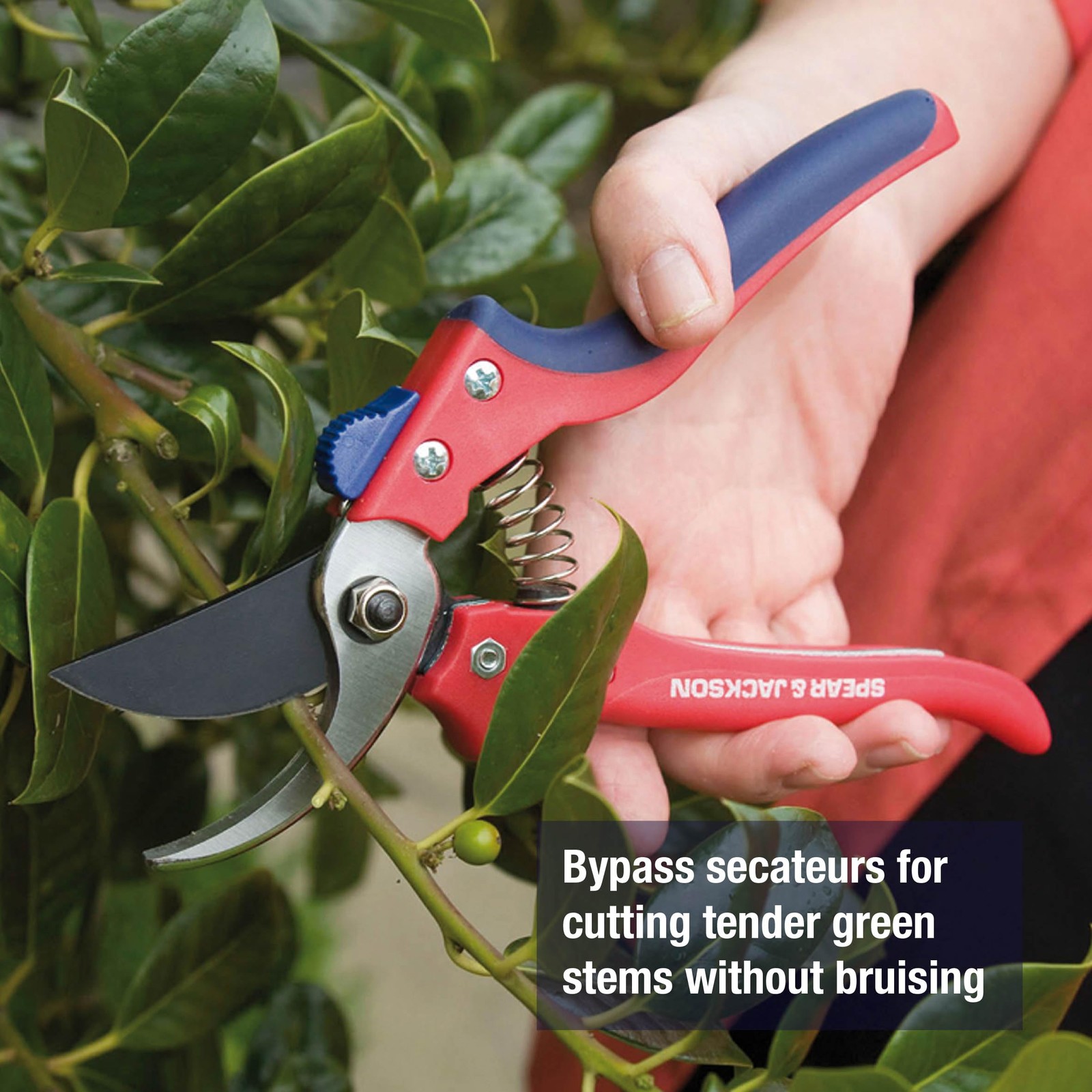 Spear & Jackson Razorsharp Bypass Pruning Shears, Pruner, Red & Blue
