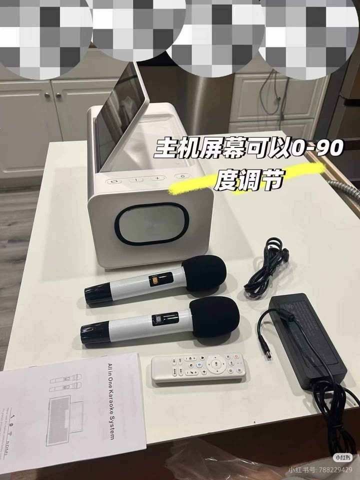 6 in 1 Karaoke Professional Karaoke System