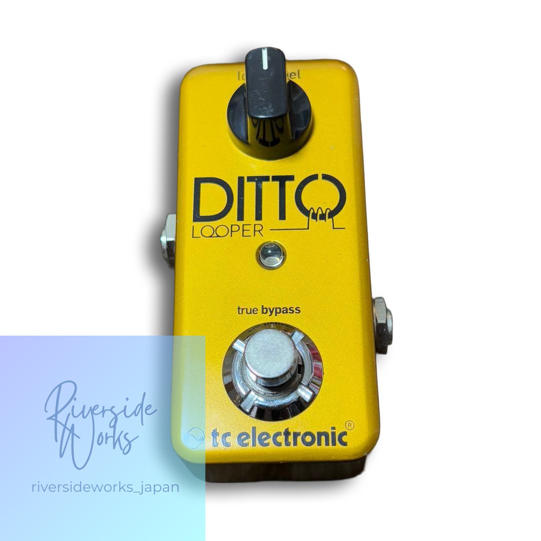 TC ELECTRONIC Ditto Looper Effects Pedal