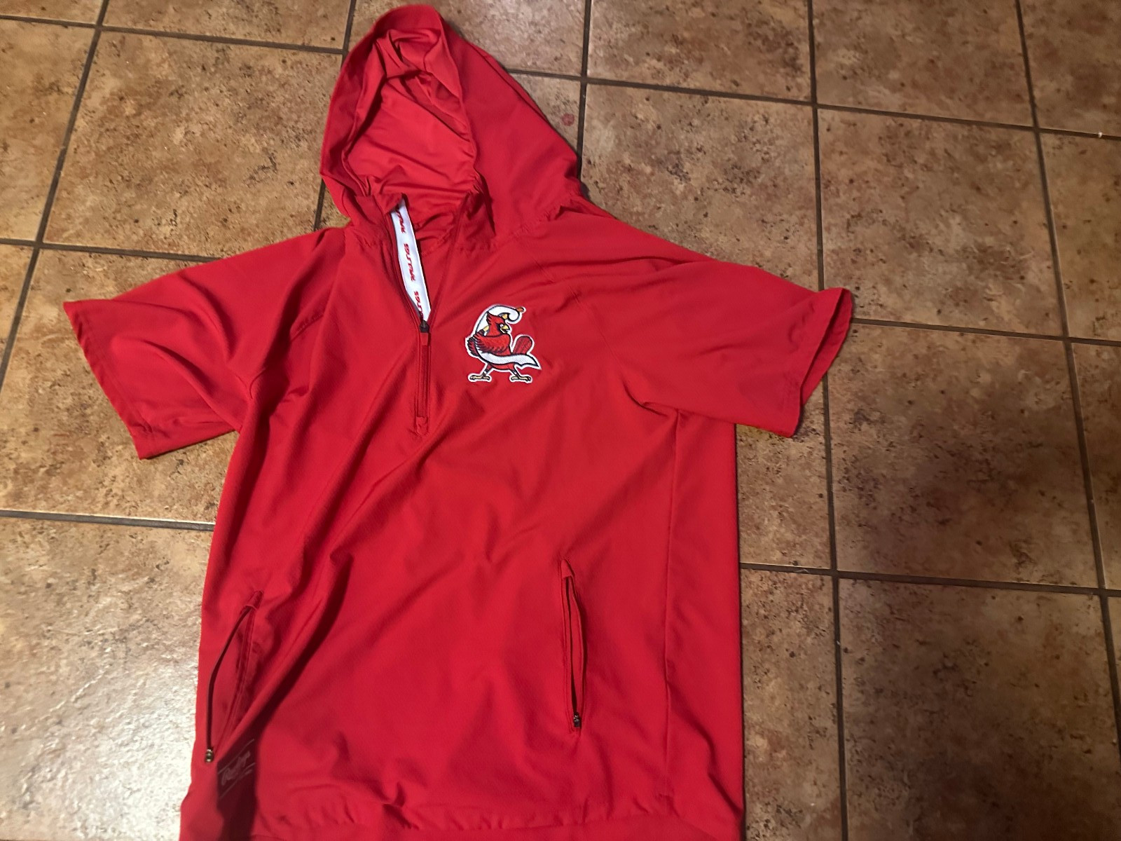 Rawlings Adult Large Minor League BB Warm Up Hoodie