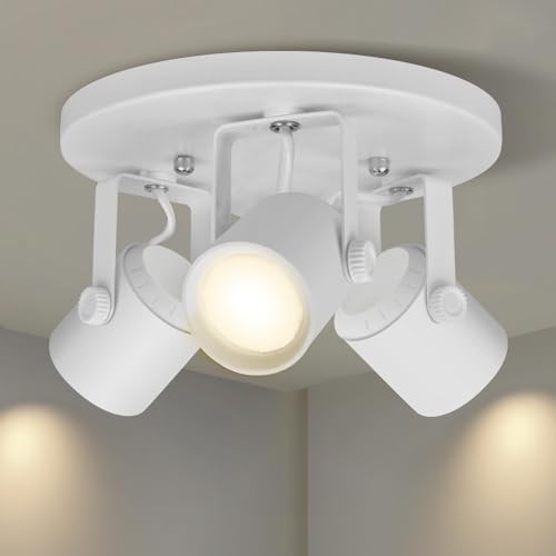 27W 3000K 3 Light LED Flush Mount Ceiling Not Replaceable Bulb-3 light