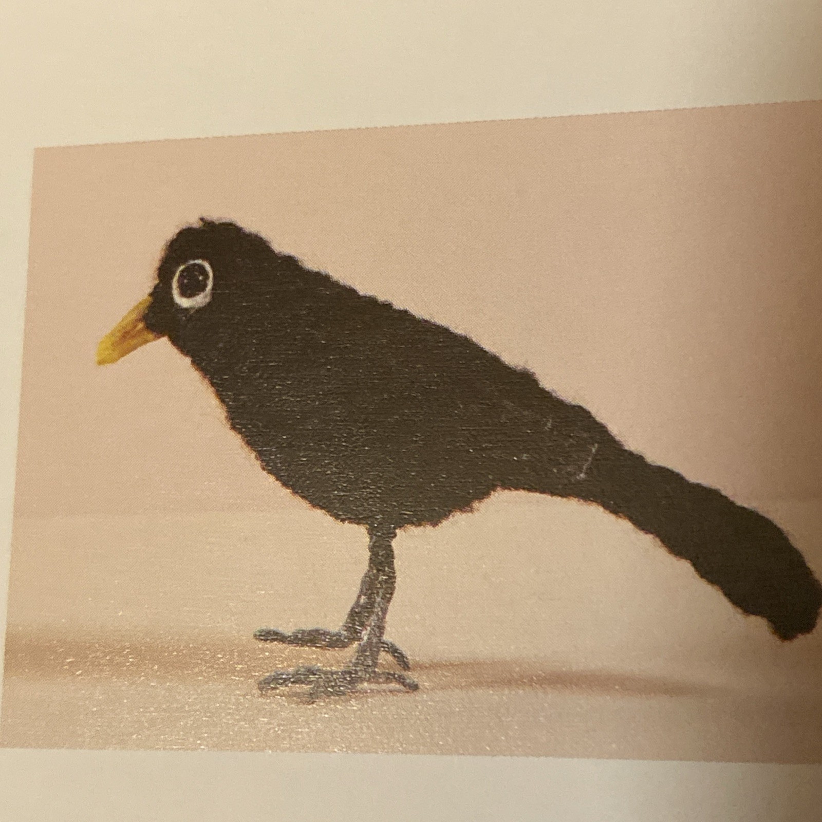 Mini Animals Crochet Pattern Project- Blackbird