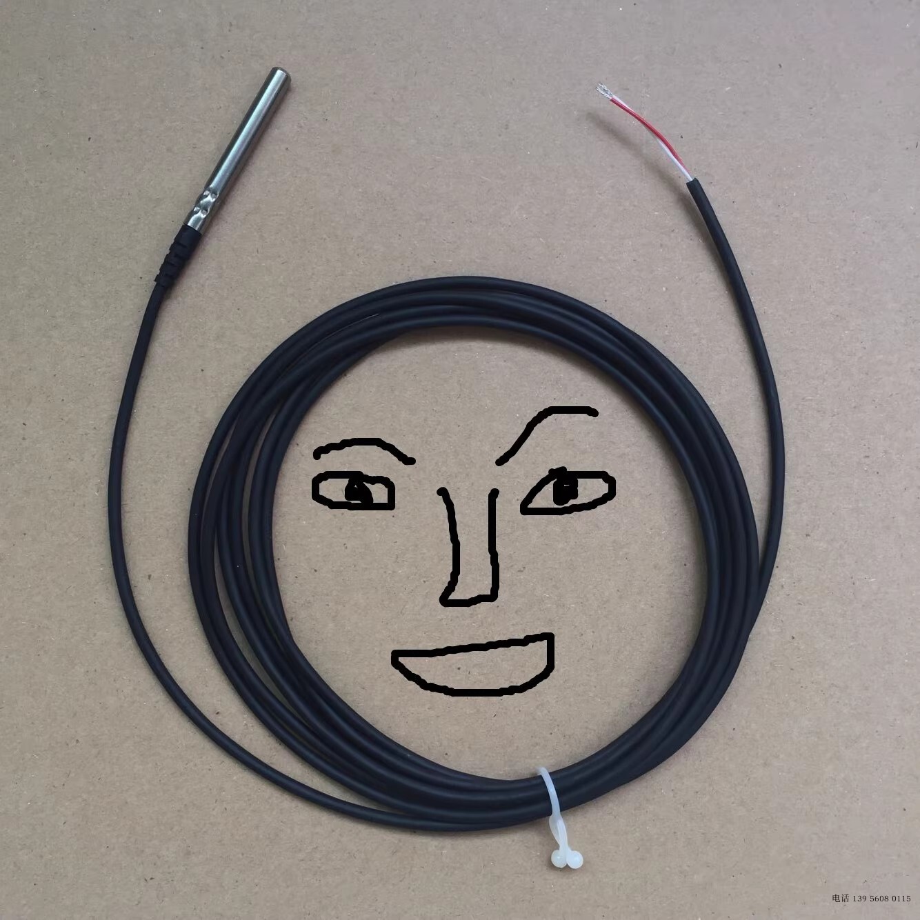 1pcs NEW CAREL Temperature Sensor Probe NTC015WH01