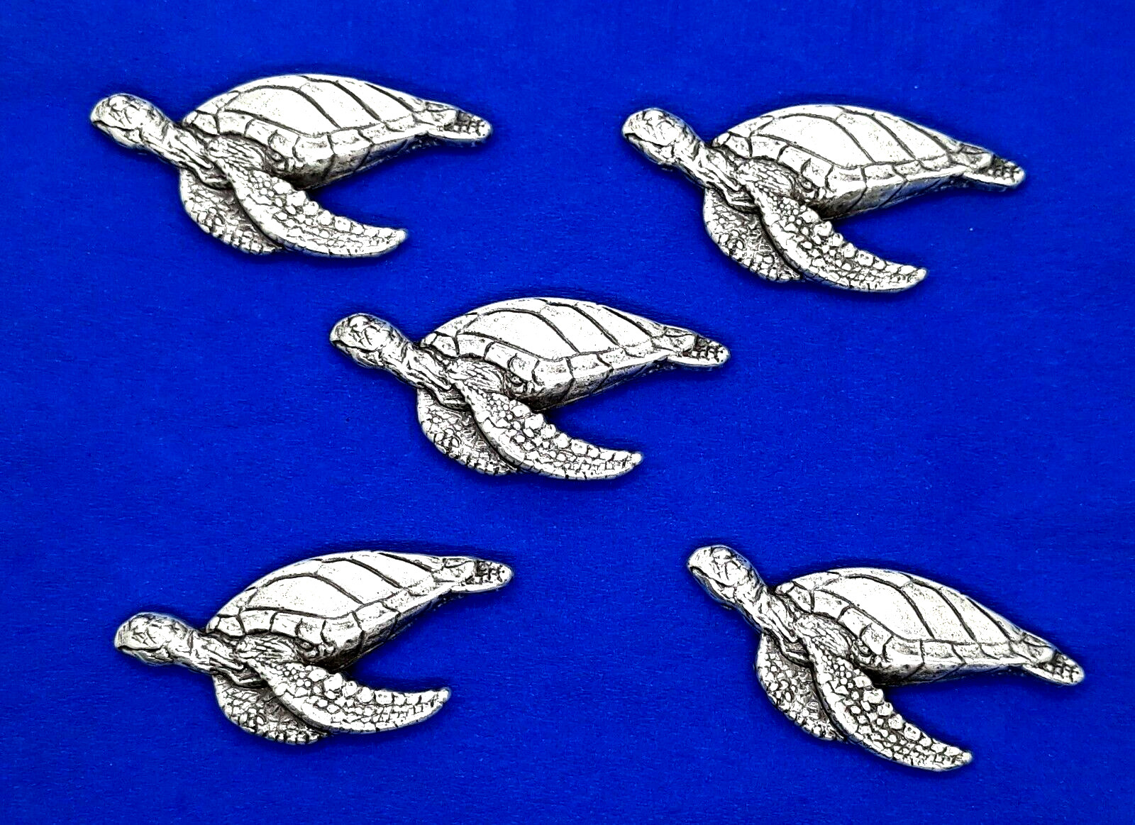 Large Sea Turtle Conchos / Concho 2" x 7/8"  5 Total
