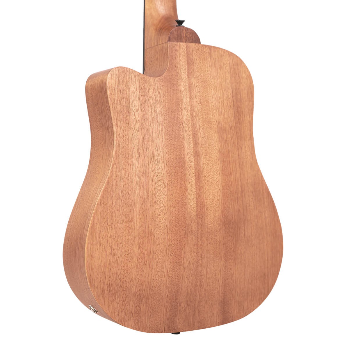 Gold Tone M-Bass25FL | New | Authorized Dealer