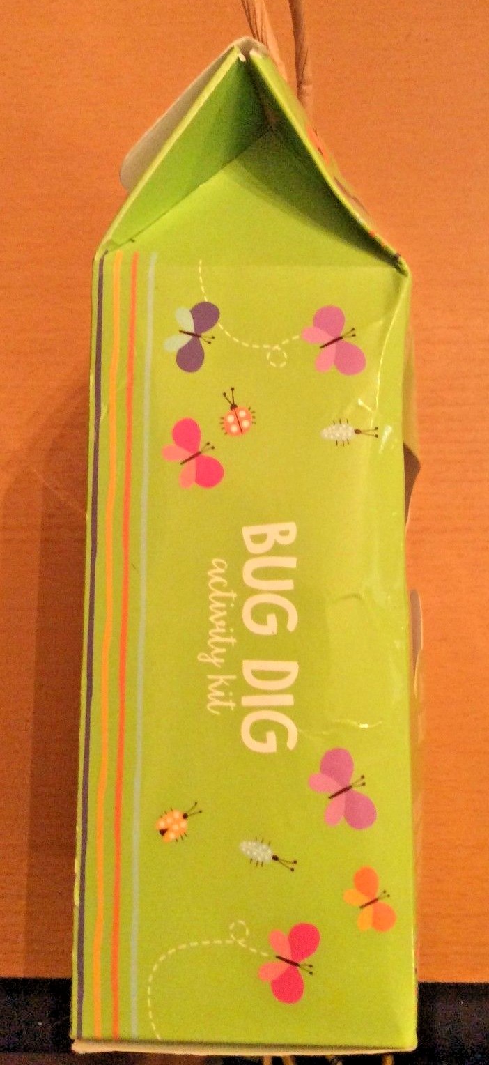 Bug Dig Insect Excavation Kit Dig Discover Bug Stone Activity Kit