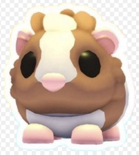 Chocolate Guinea Pig / All Variations! FR, NFR, MFR, Neon, Mega - Adopt From Me