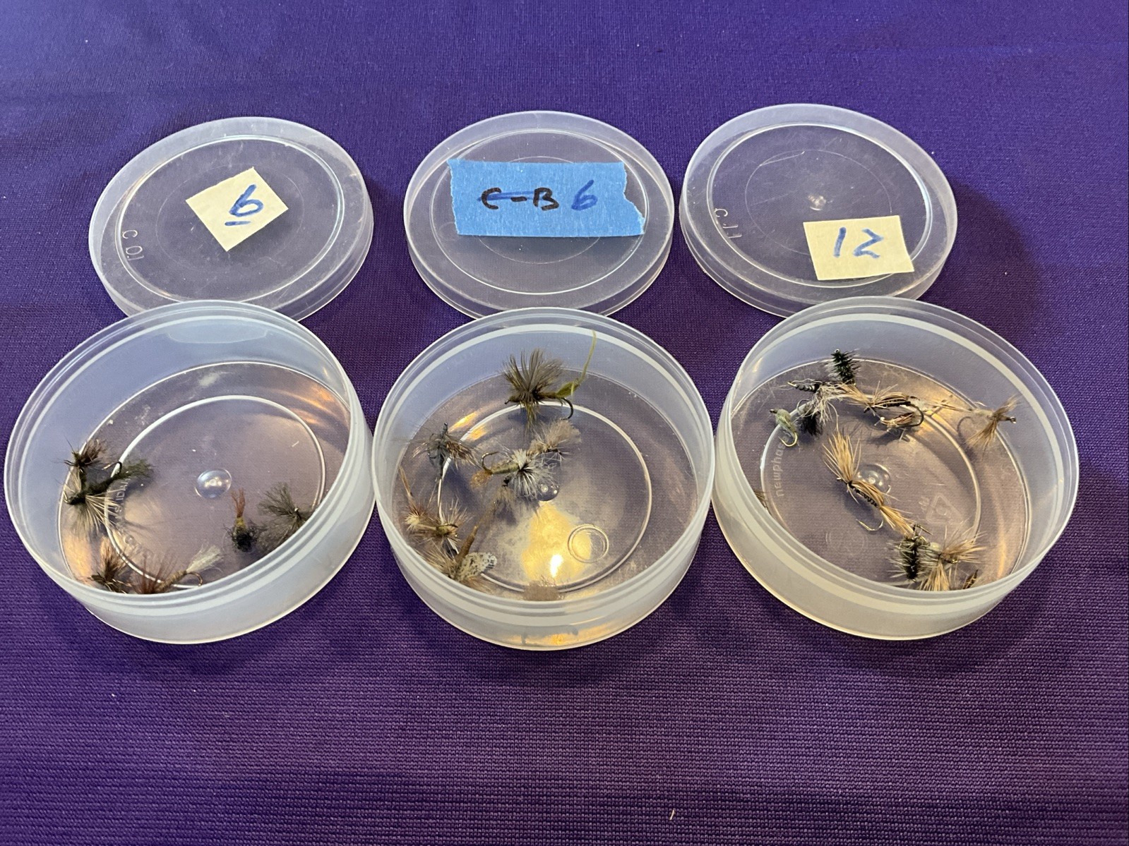 FLIES FOR FLY FISHING,(24) THREE CONTAINERS HOLDING  24 FLIES MIXED VARIETY(S715