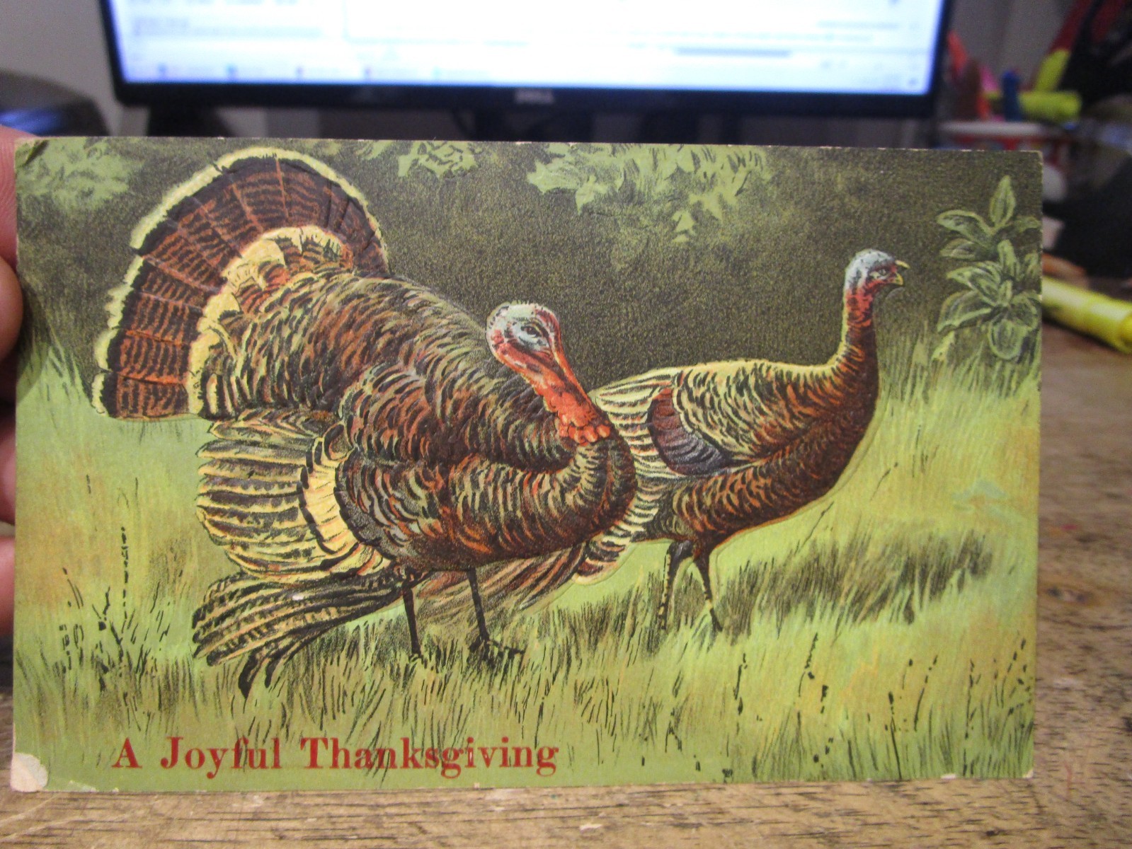 Holiday Old HAPPY THANKSGIVING Day Victorian Era Postcard Turkey Mr. Mrs. Strut