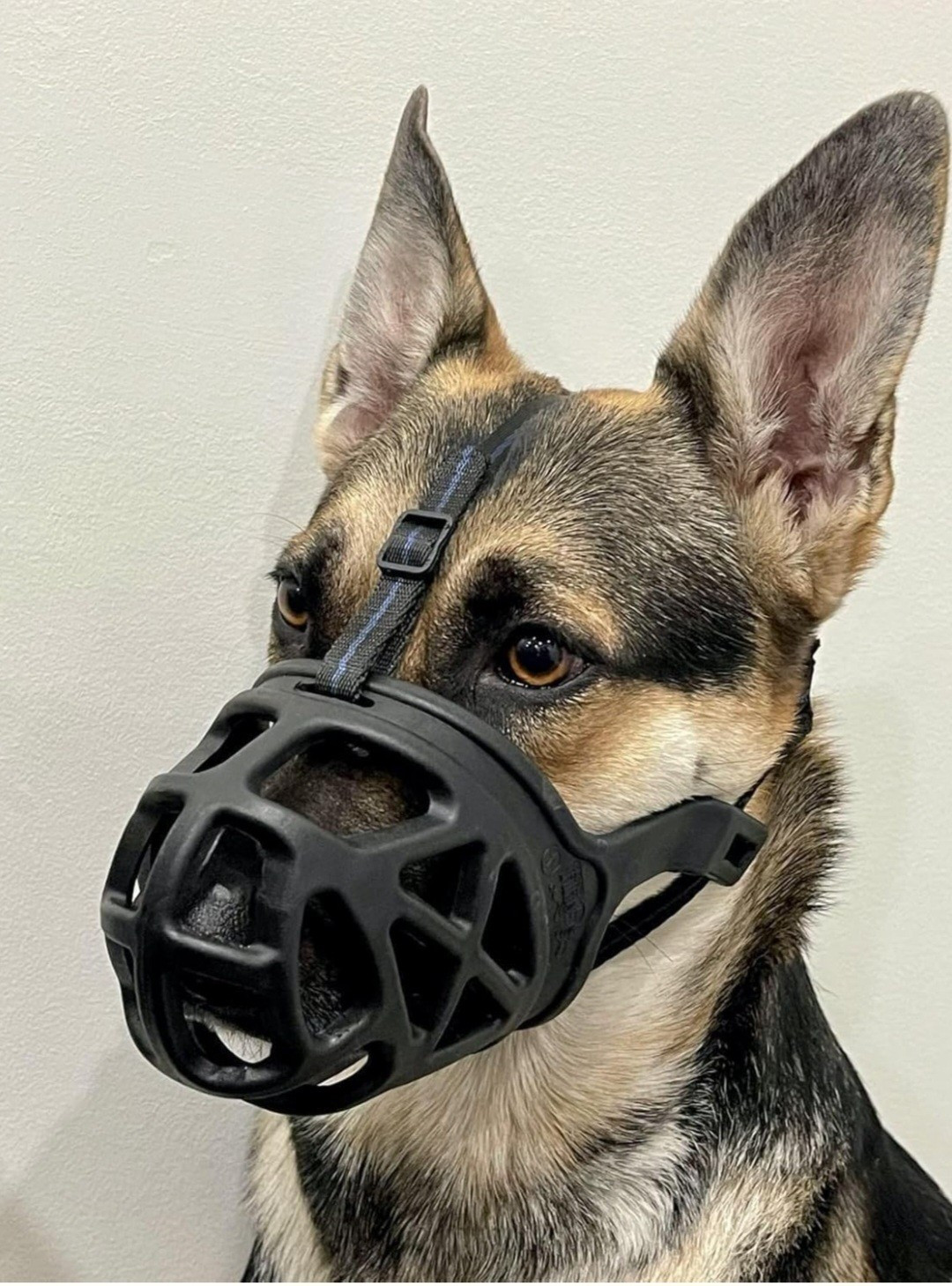 Mayerzon Dog Muzzle Breathable Basket Style Small Size 2S NWOT BLACK