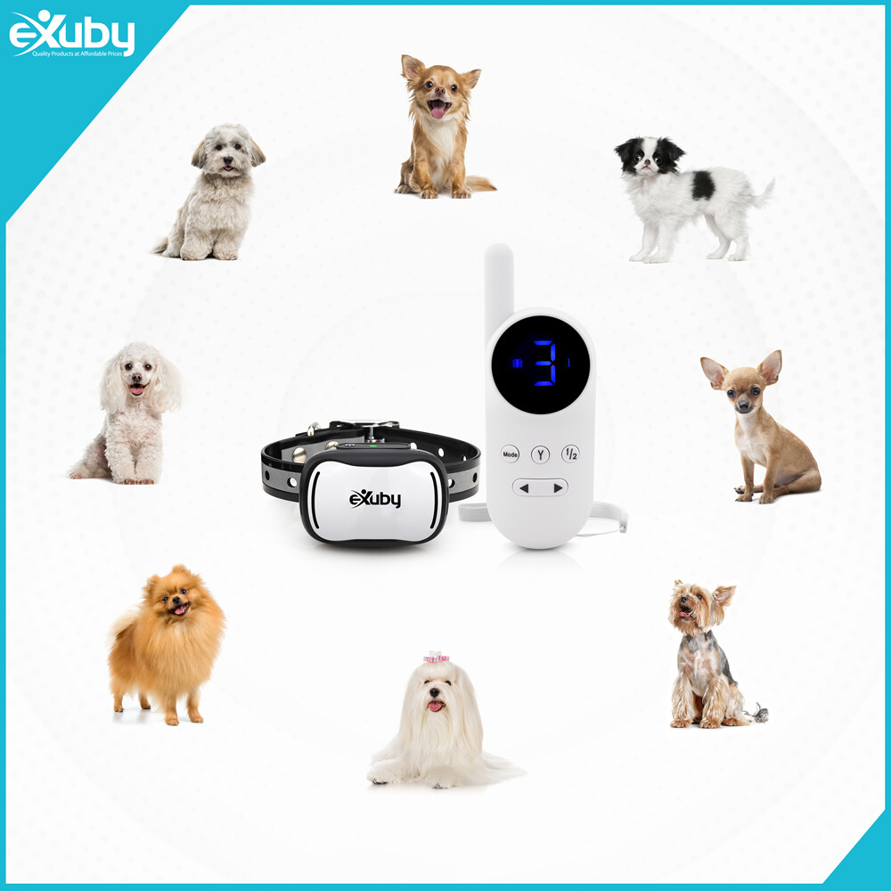 eXuby - Tiny Shock Collar for Small Dogs 5-15lbs - White Remote