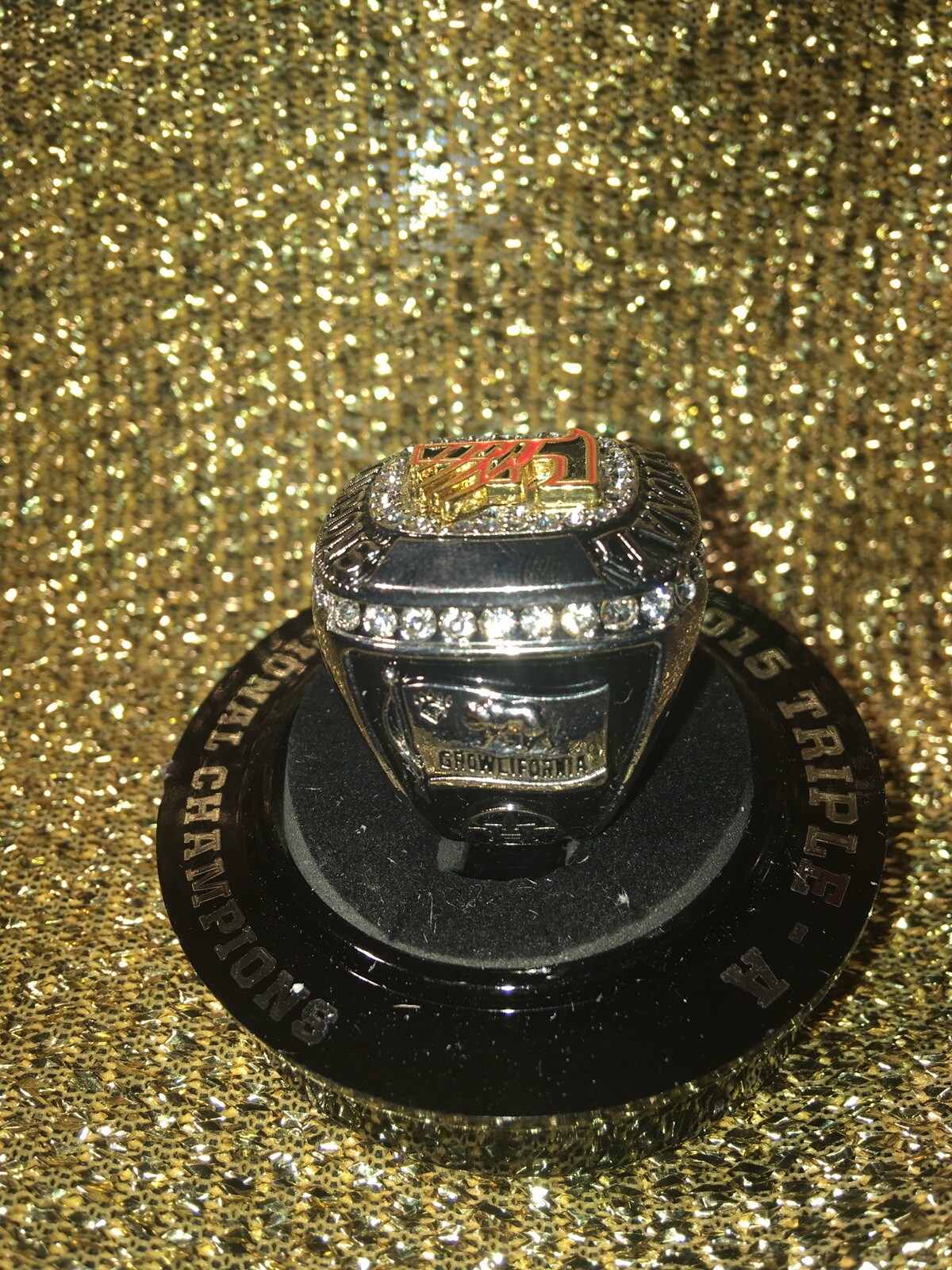 Fresno Bears AAA Minor League National Champions Ring