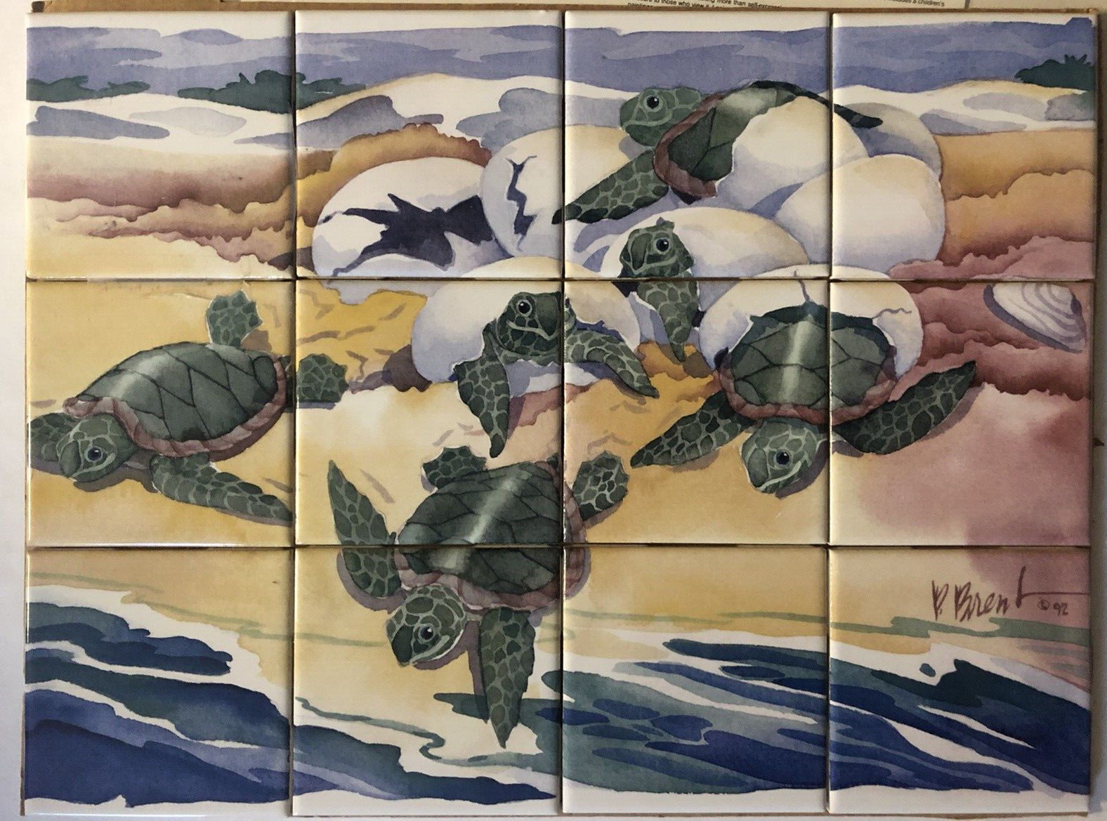 P Paul Brent 12 Pc Swimming Turtles Ceramic Tile Backsplash Art Mural Beach FL