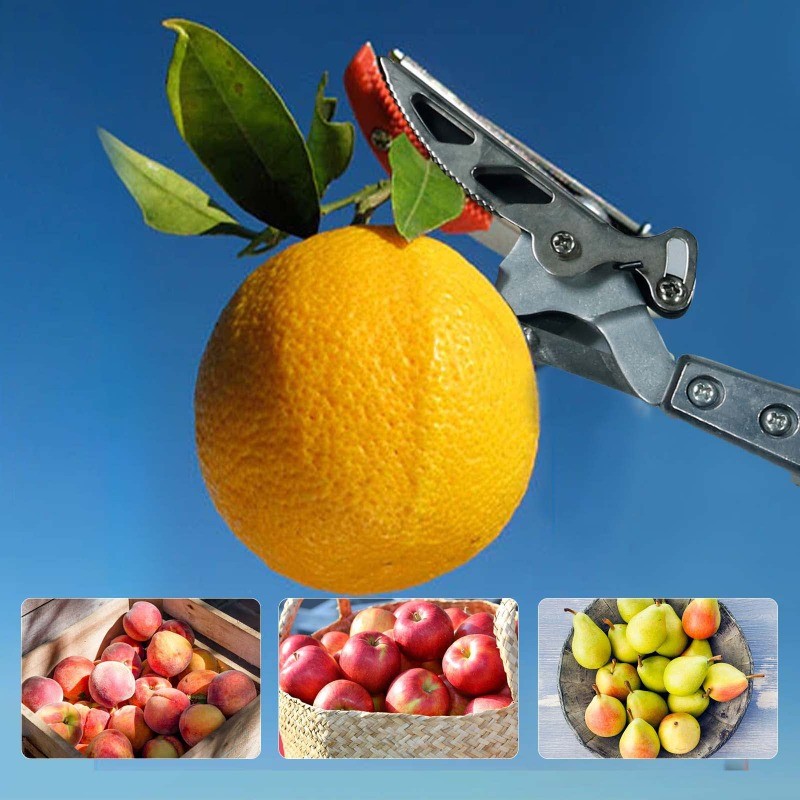 GARTOL Telescopic Pole Pruner 1" Cut & Hold