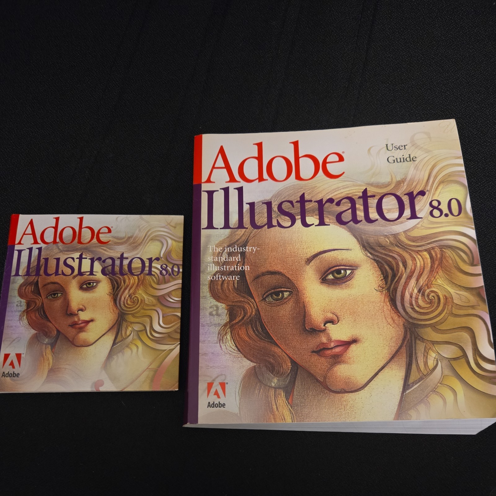 Adobe Illustrator 8.0 Windows Version with Disks, Serial Number, Manual RARE