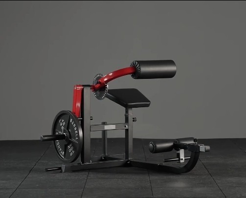 2-IN-1 Seated AB Curl & Back Extension Machine 450lbs Load WE SHIP OVERSEAS
