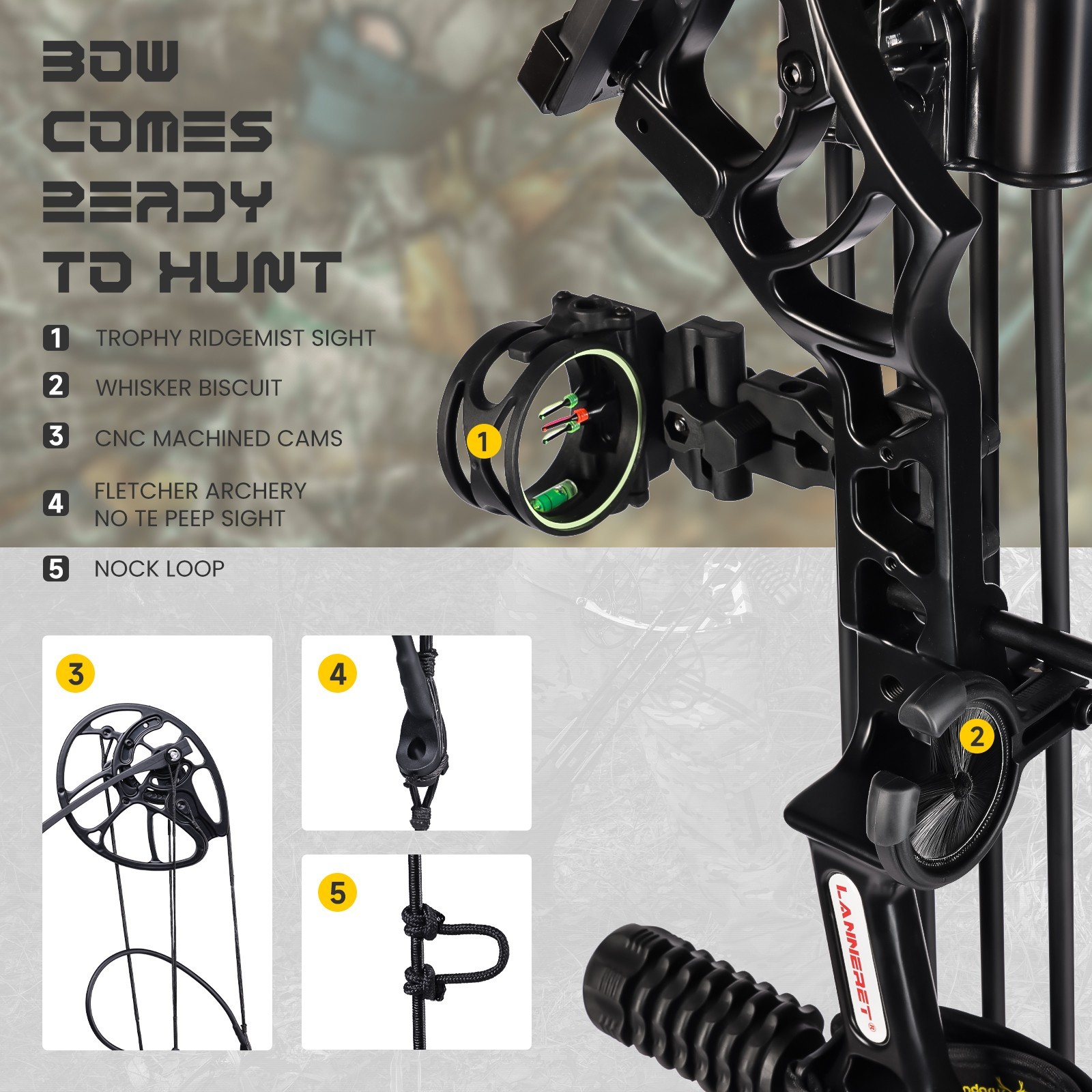Adjustable Compound Bow Set for Adults & Teens, 0-70 Lbs Draw Weight