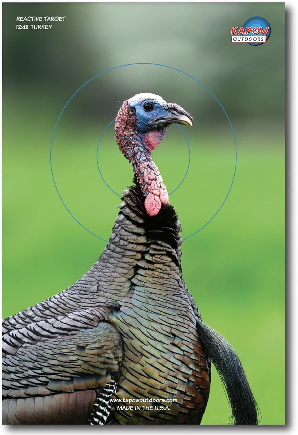 Reactive Turkey Target 10-Pack