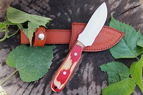 Almazan® Custom Hand forged Stainless Steel knife, Outdoor &  Skinning Knife