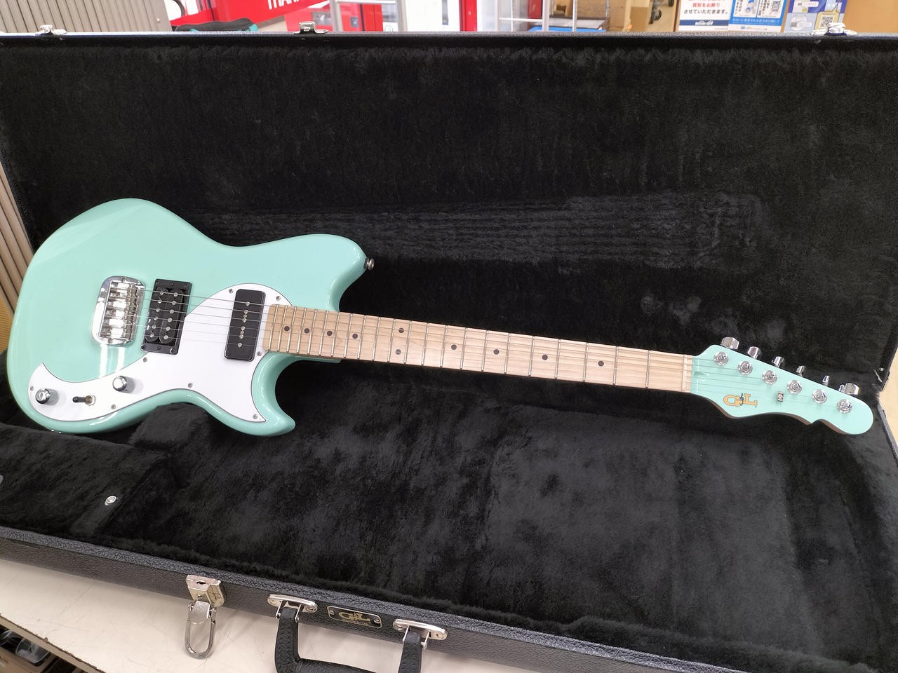 G&L FALLOUT SFG PH 729601
