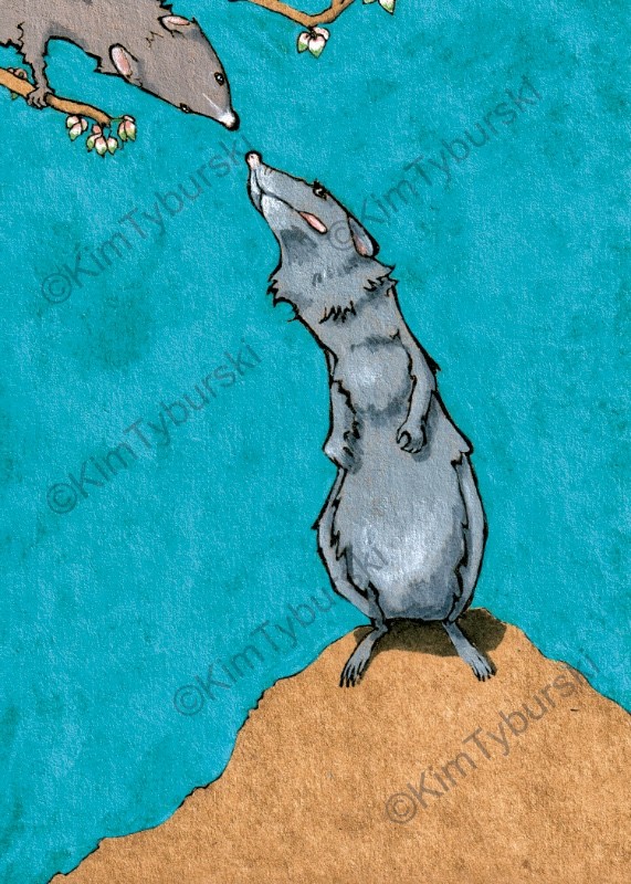 ACEO Artist Trading Card “Hello, Love”—A Wildlife Original Print by Kim Tyburski