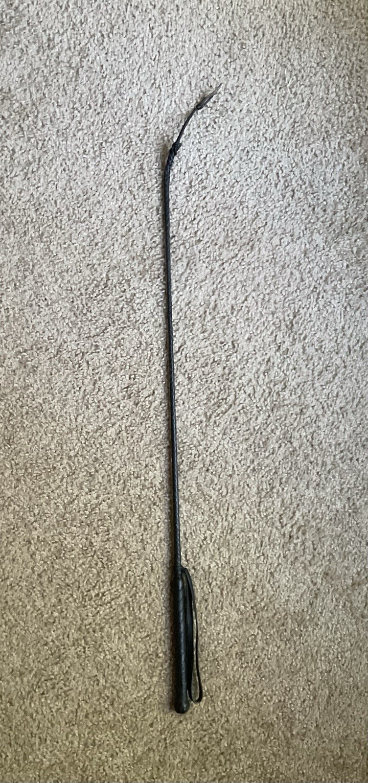 Basic Riding Whip