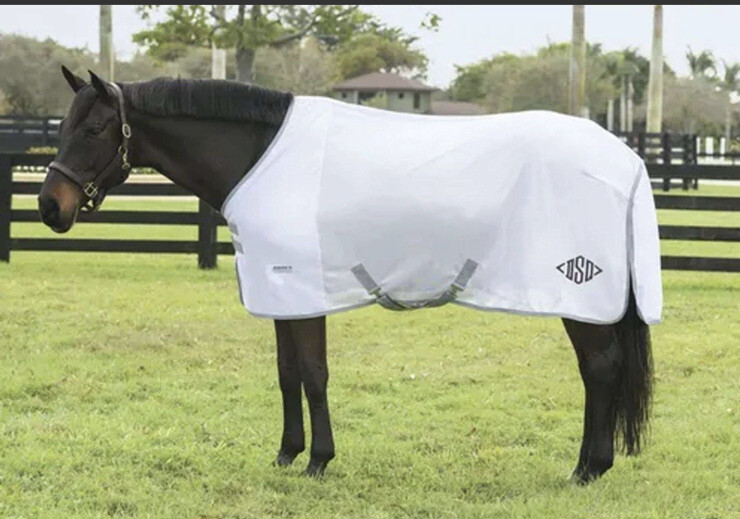 Dover Saddlery 82 inch fly sheet – Rider’s international