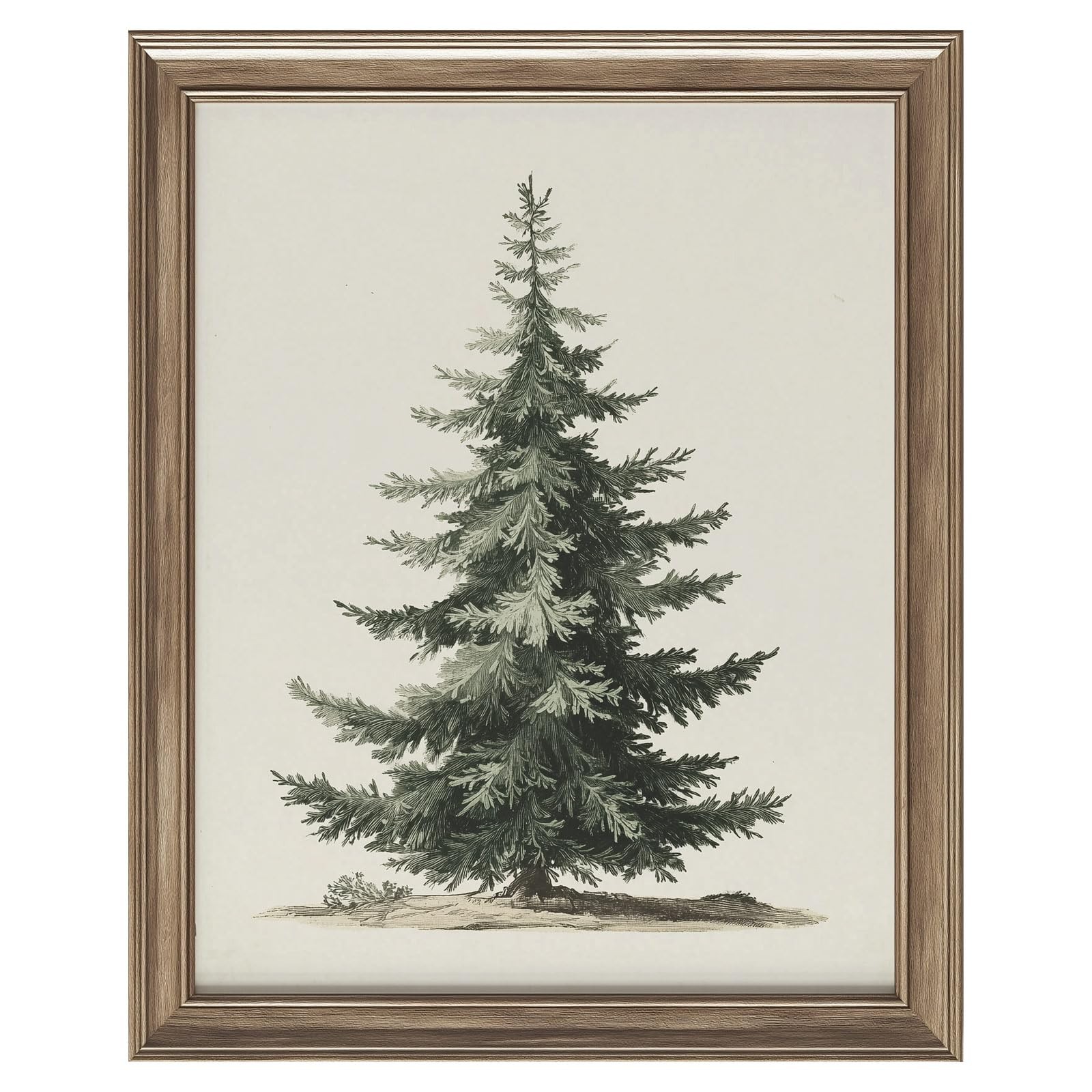 Vintage Pine Tree Botanical Wall Art Print, Rustic 8X10 Inch-Unframed, WHITE