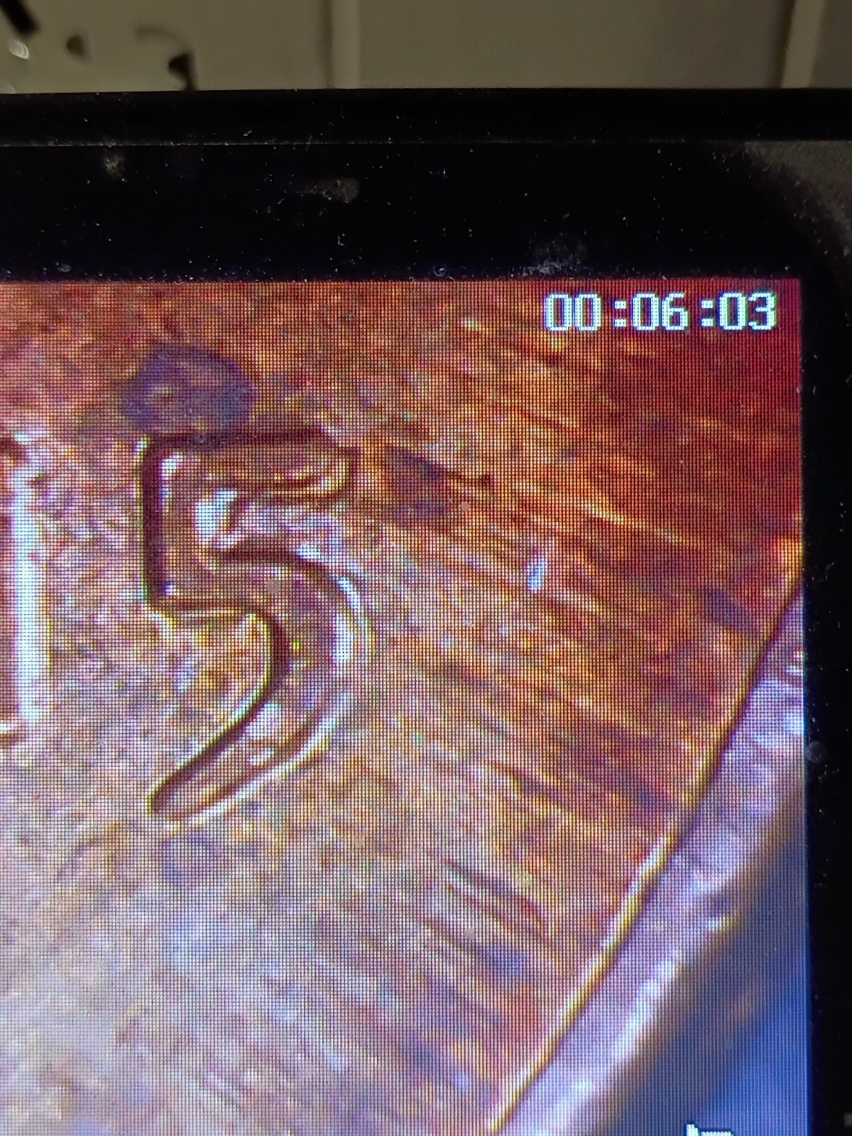 2015 D DDO Circulated RD