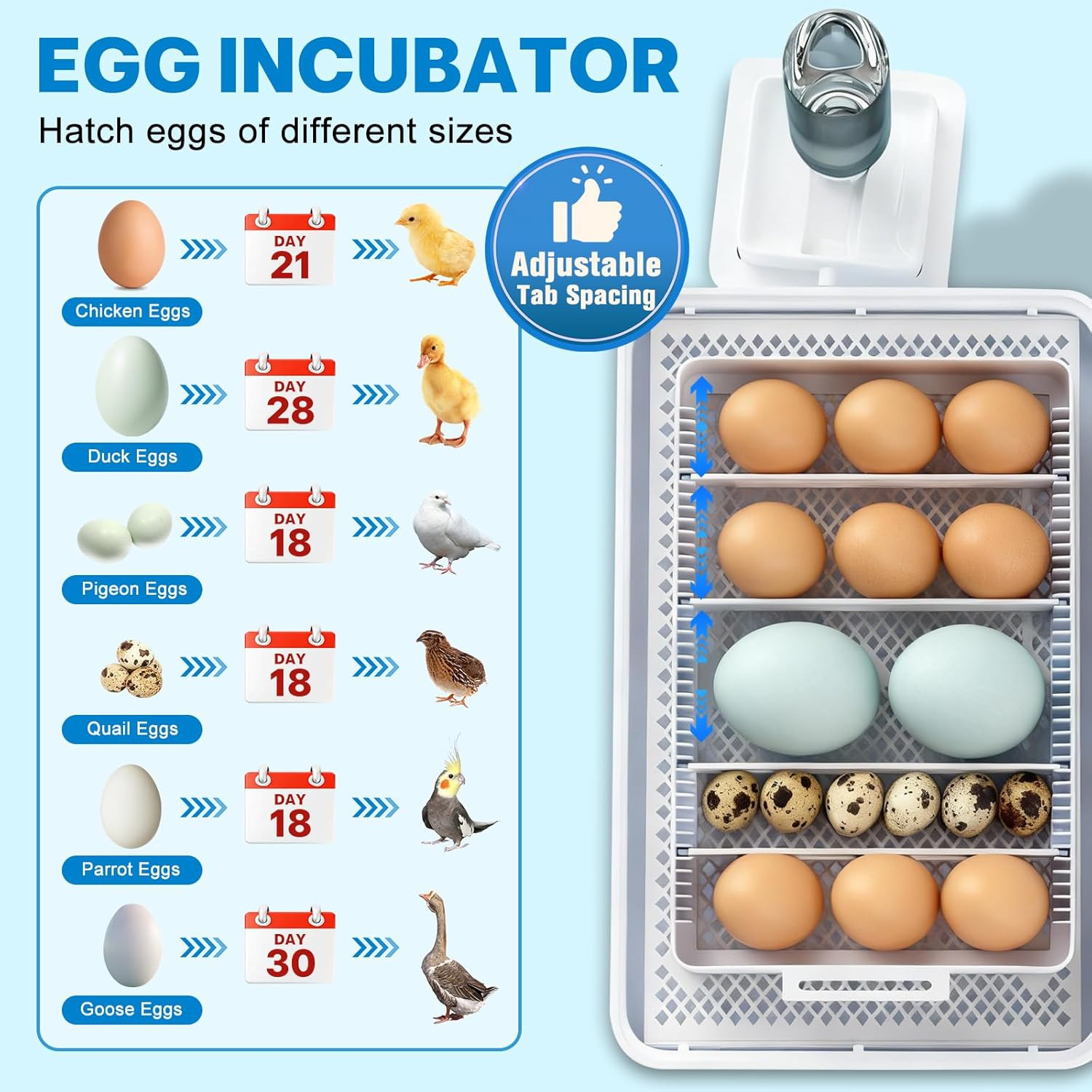 Incubators for Hatching Eggs 15-35 Eggs Incubator with Automatic Egg Turning and