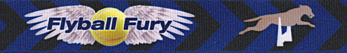 Country Brook Design® 3/8 Inch Flyball Fury Grosgrain Ribbon Closeout, 10 Yards