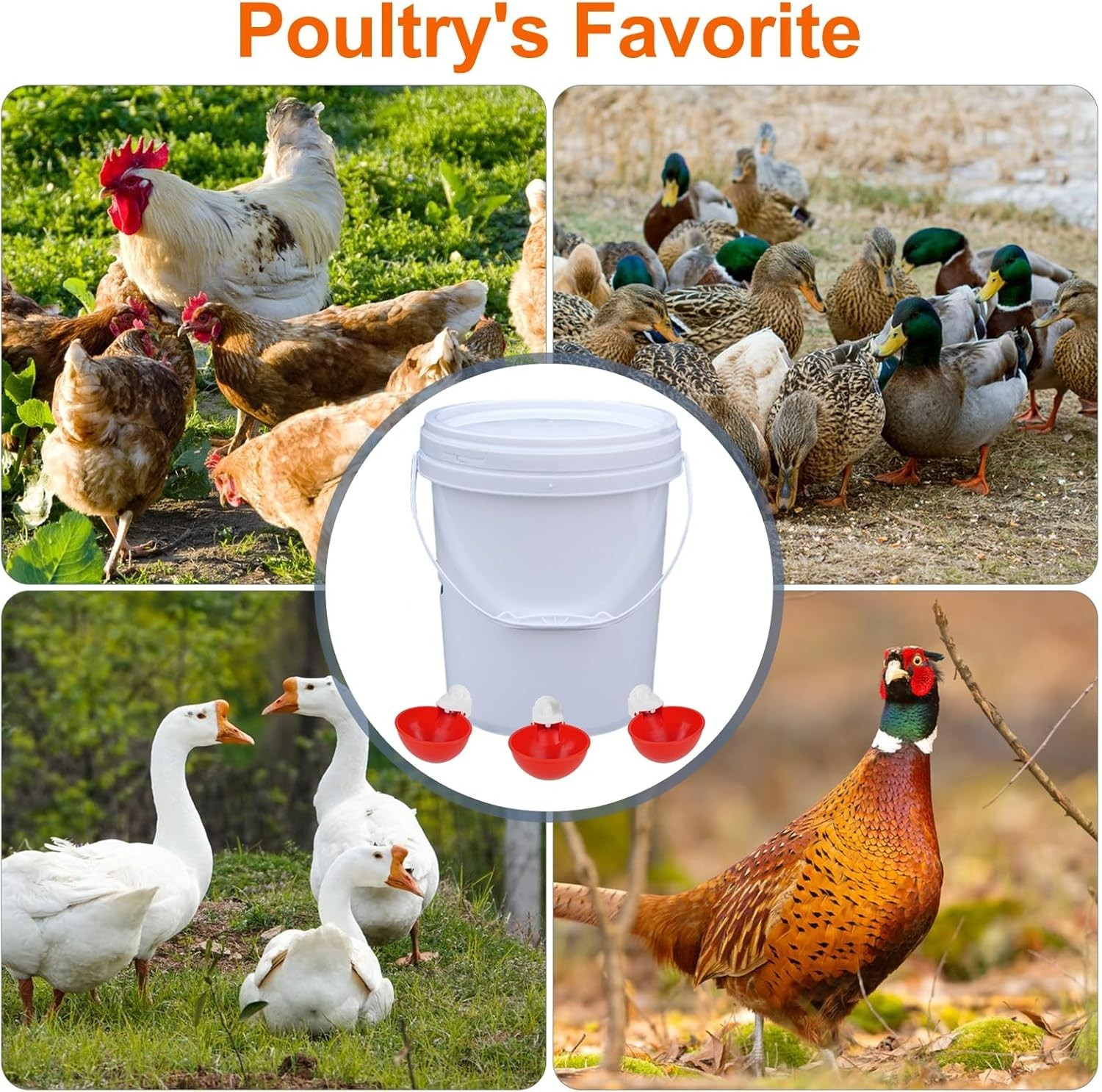 6 Pack Automatic Chicken Waterer Cups Poultry Water Feeder with Drill Kit