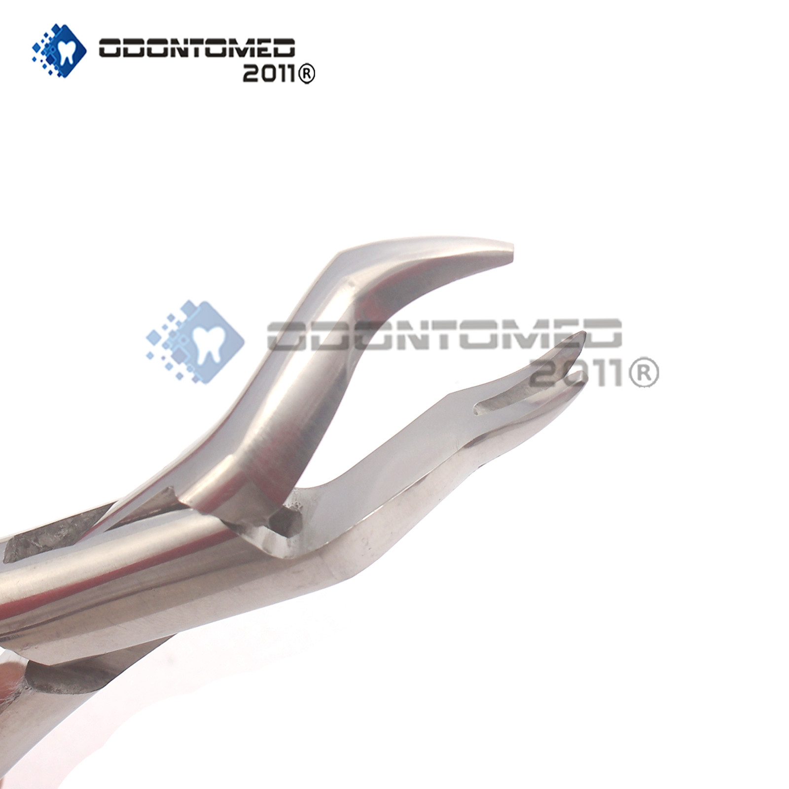 Dental Extracting Forcep 88r Molar Tooth Extraction Surgical Instruments
