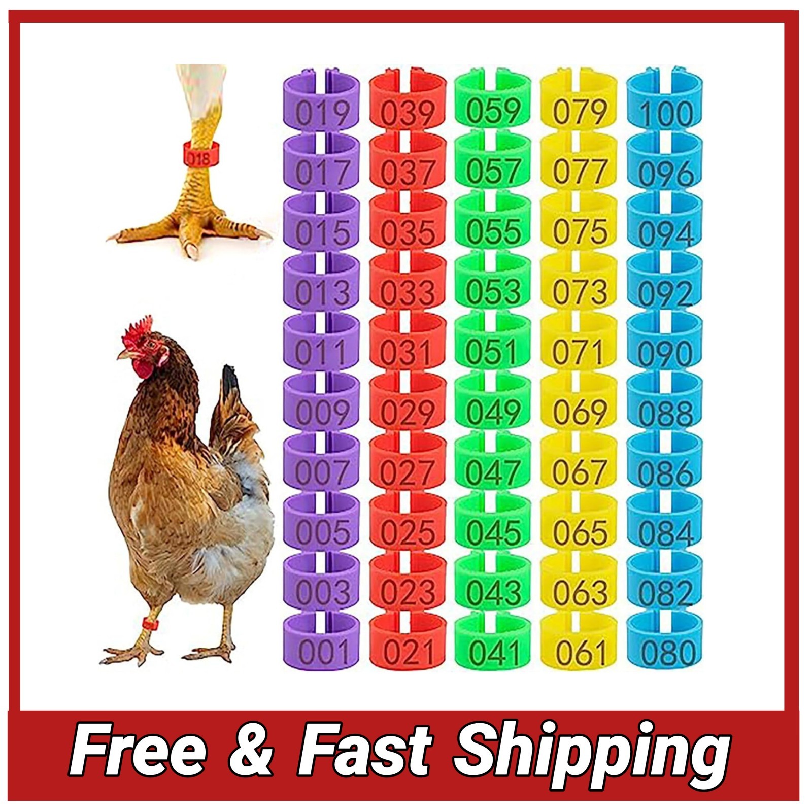 CougZed 100PCS Chicken Leg Bands 16mm Numbered Poultry Tags for Ducks Geese