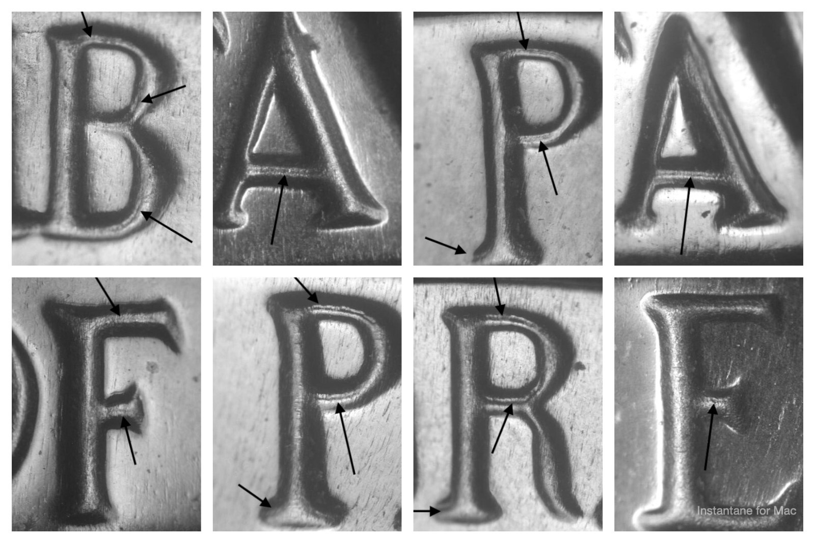 Lot of 8 Different 1964 Doubled Die Reverses Ch/Gem Proof Jefferson Nickels#1