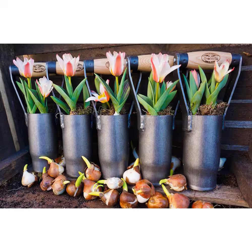 British Style 10.5 In. L Bulb Planter