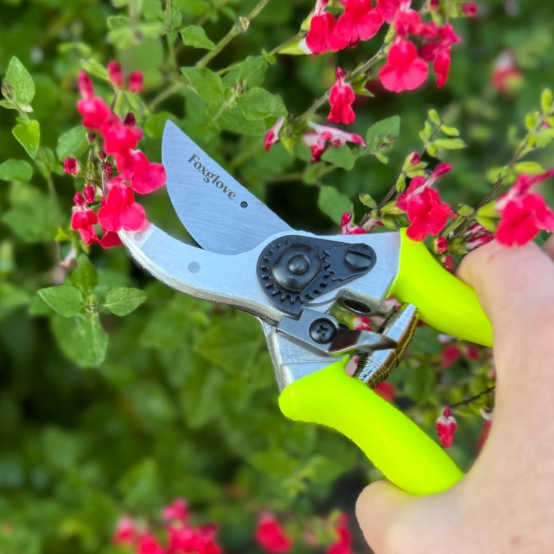 Foxglove Pruning Shears – Professional Garden & Bypass Hand Grey