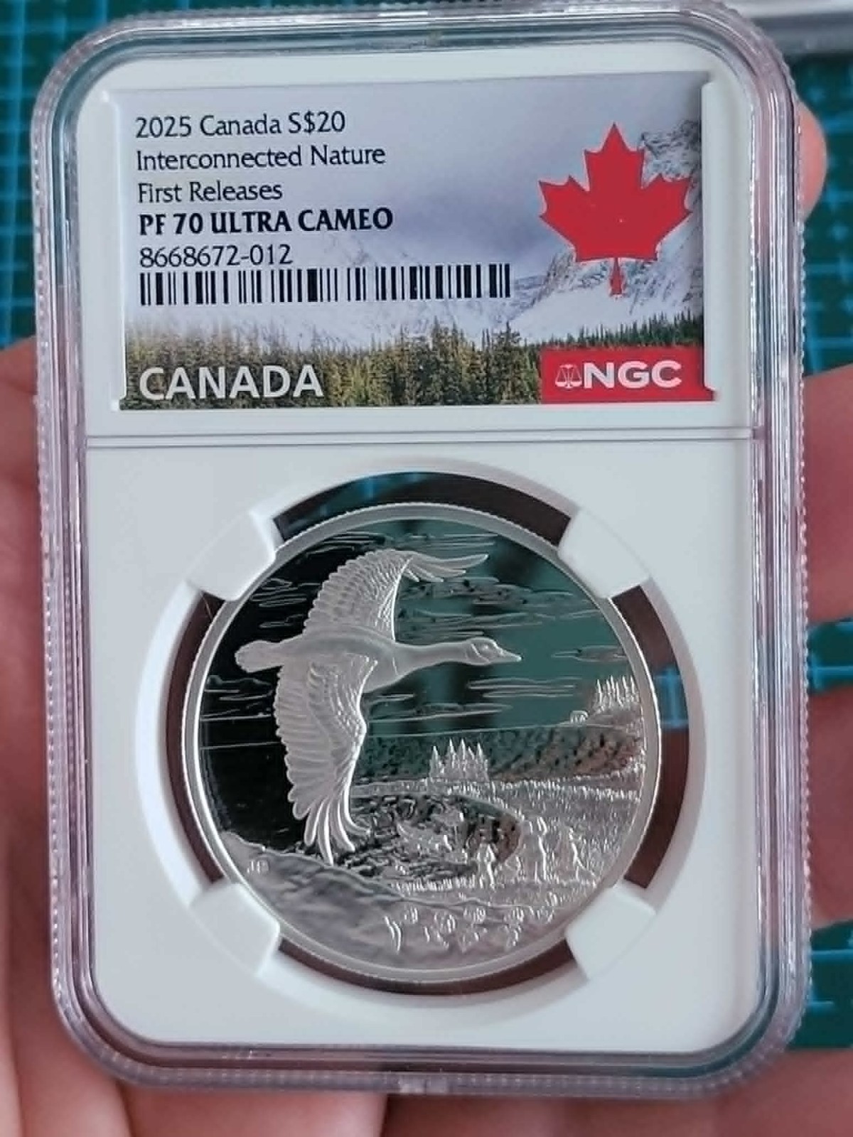 2025 1oz Canada Flying Goose $20 DOLLARS SILVER  NGC PF70 INTERCONNECTED NATURE