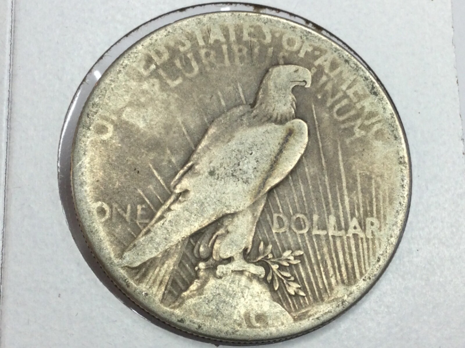 1928 Peace Dollar great starter coin