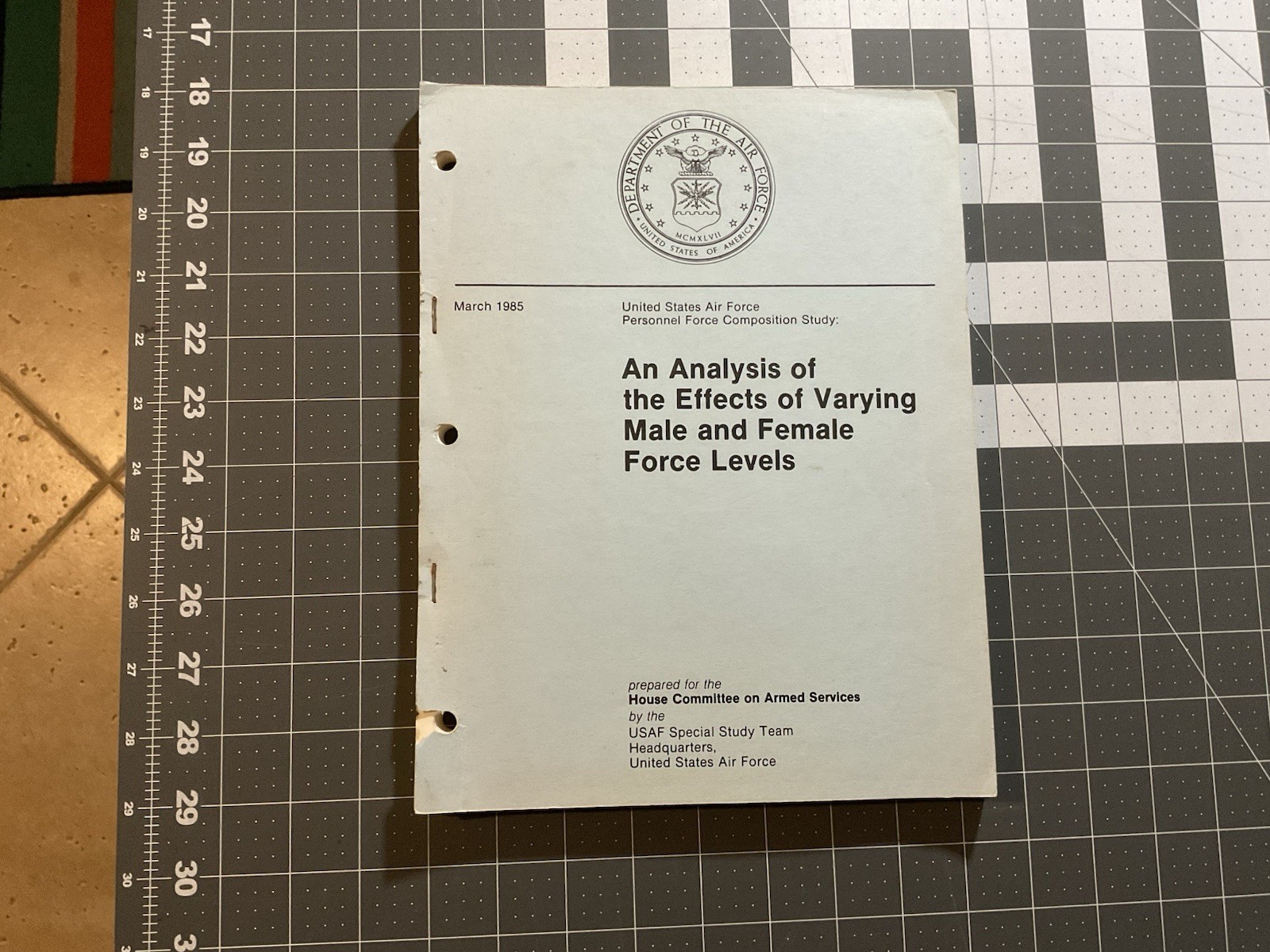 an analysis of the effects of varying male and female force levels, USAF 1995