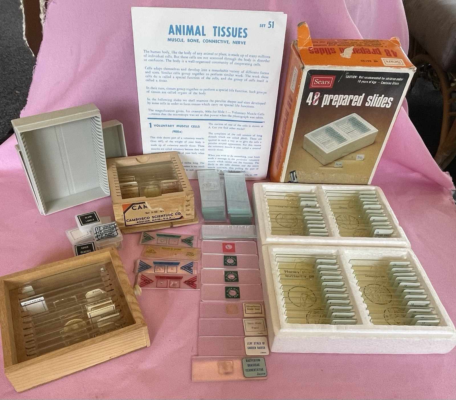Vintage Lot 65+ Prepared Microscope Slides Assorted Brands Samples Blanks