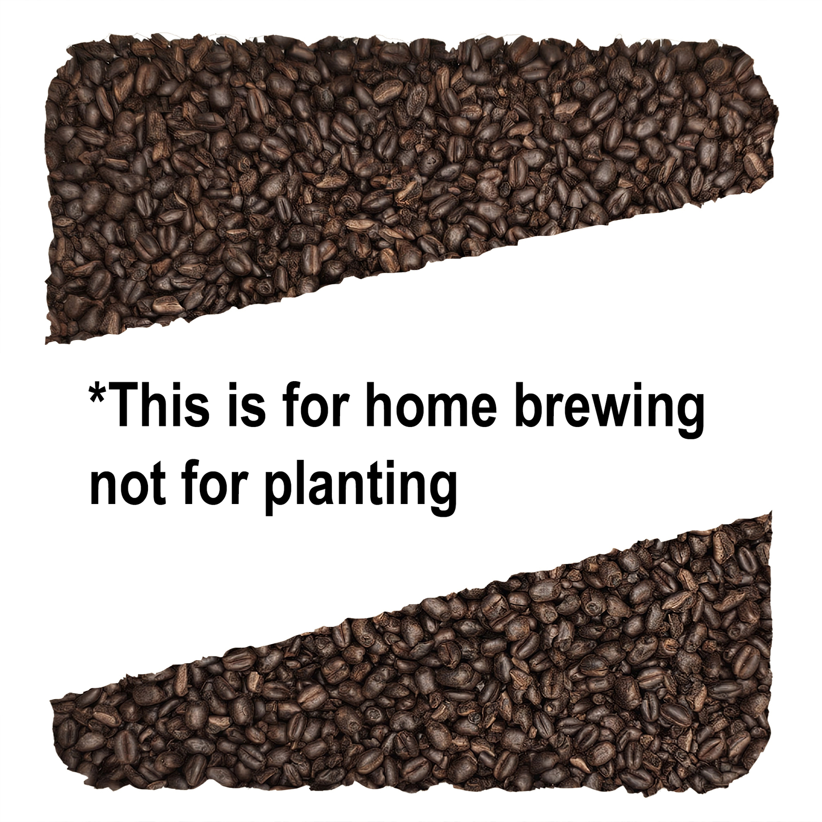 Home Brew Ohio Midnight Wheat Grain 1lb