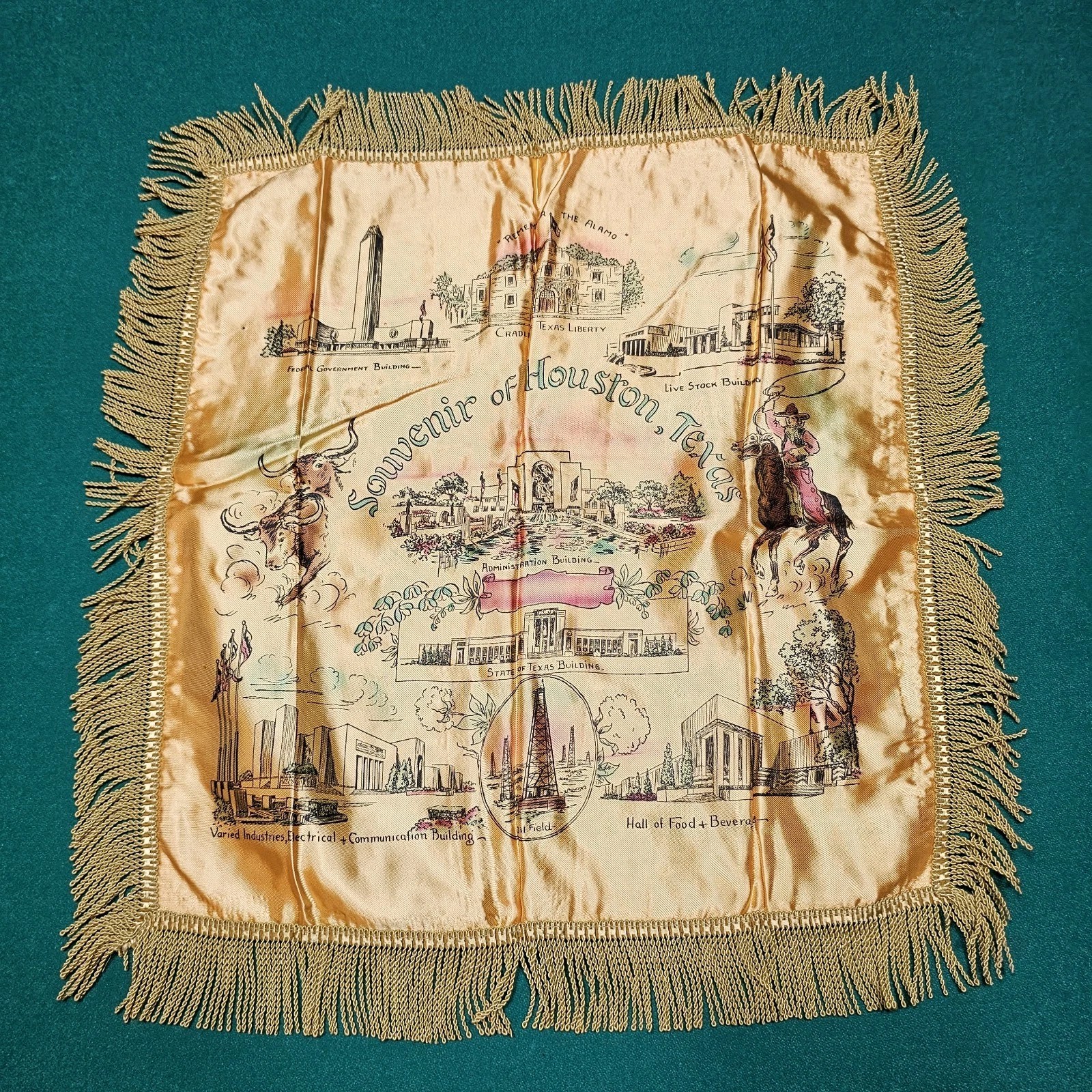 Vintage Silk Souvenir Pillow Cover Houston Texas