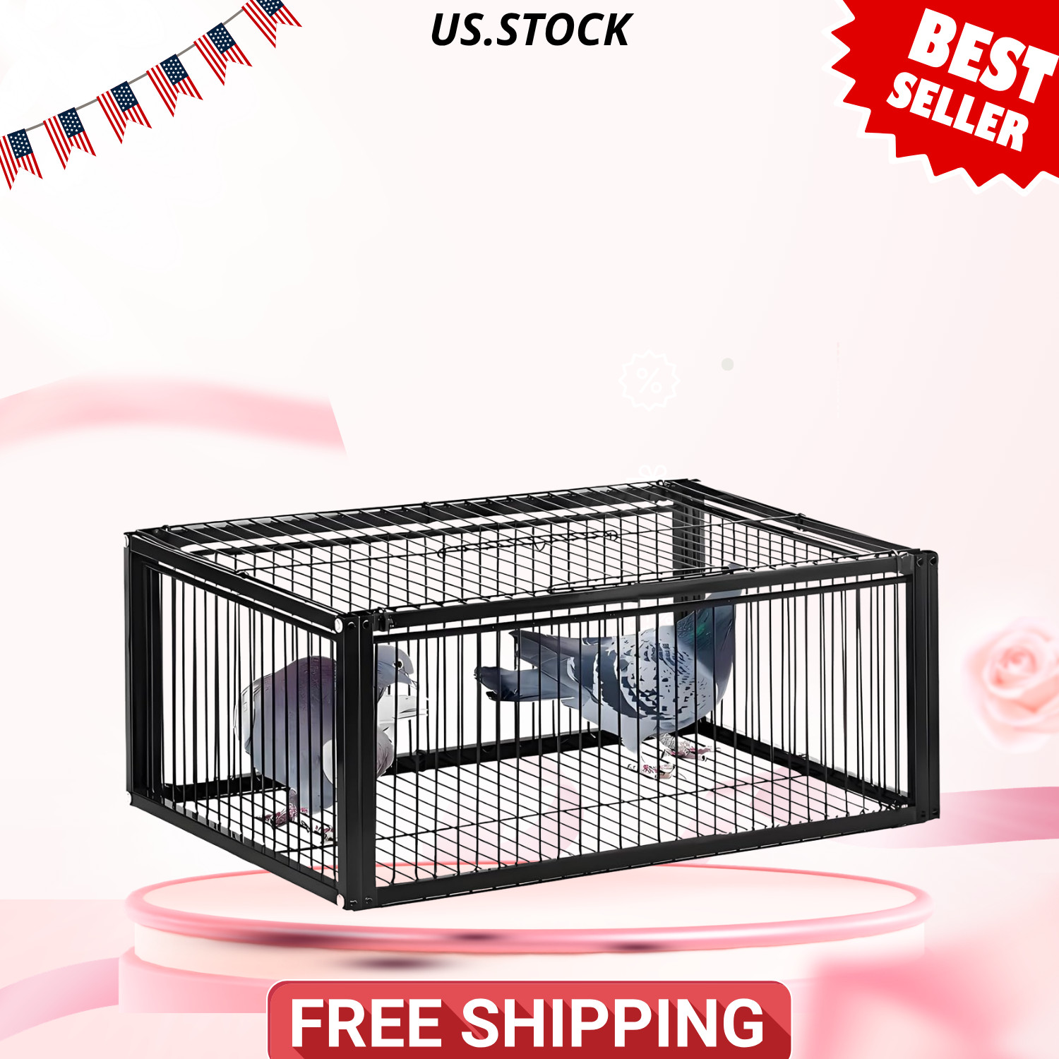 NEW Pigeon Trap Cage One Way Entrance Escape Proof Bird Trap Medium Outdoor