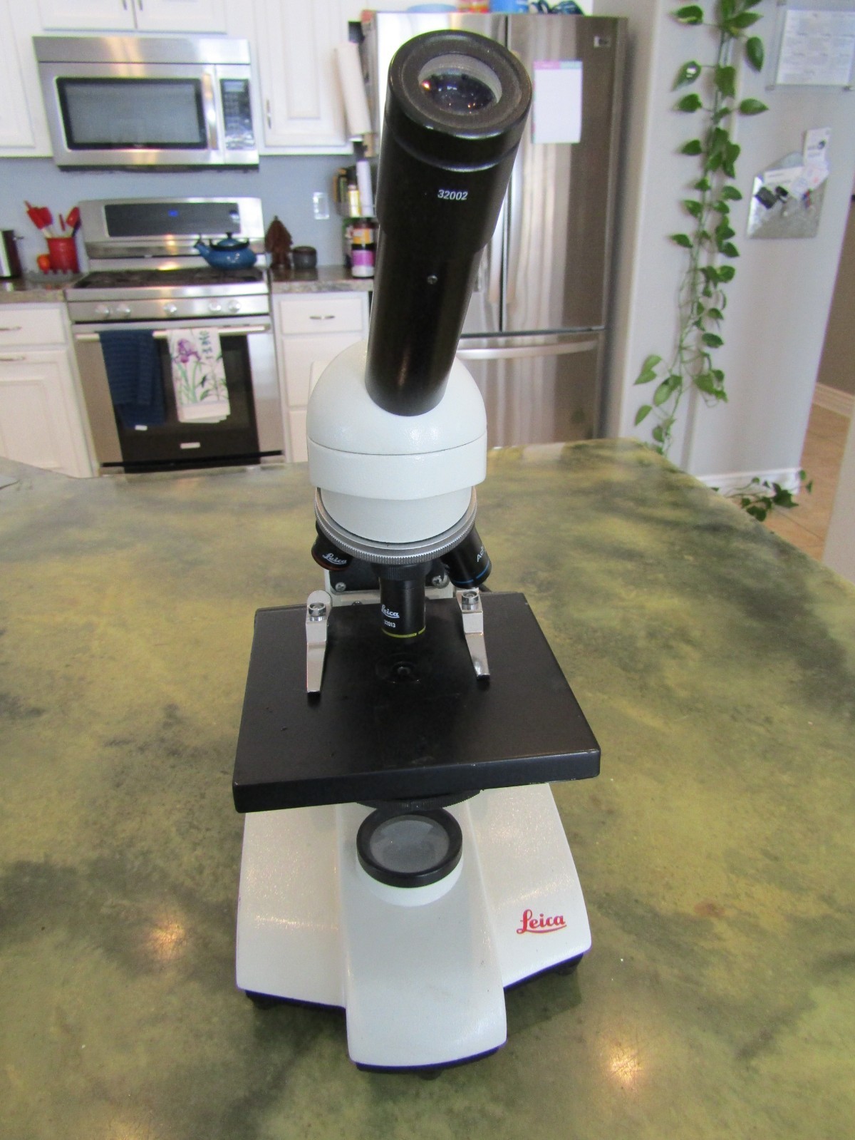 Genuine Leica BF 200 Monocular Compound Built in Illumination Lamp Microscope