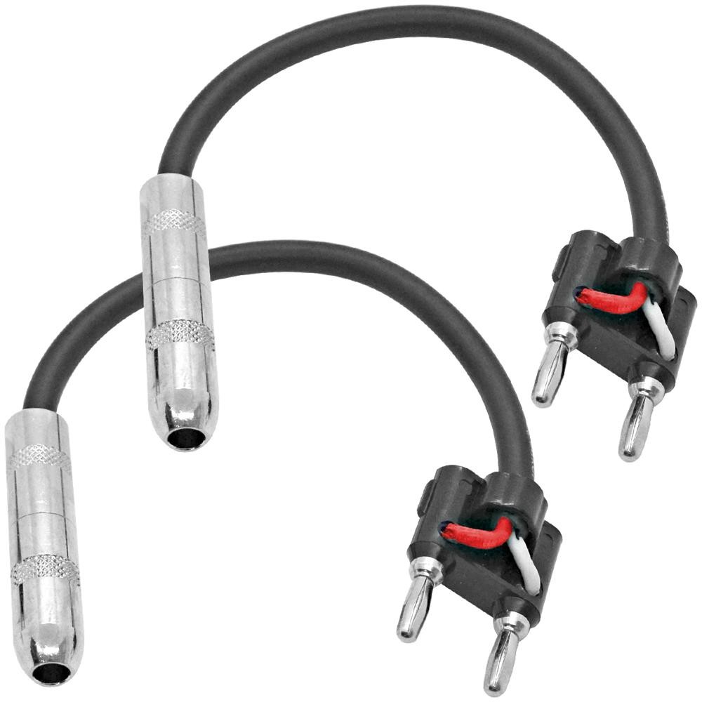 2 Pack 6 Inch Banana Plug to 1/4 Inch TS Mono Female Patch Cables