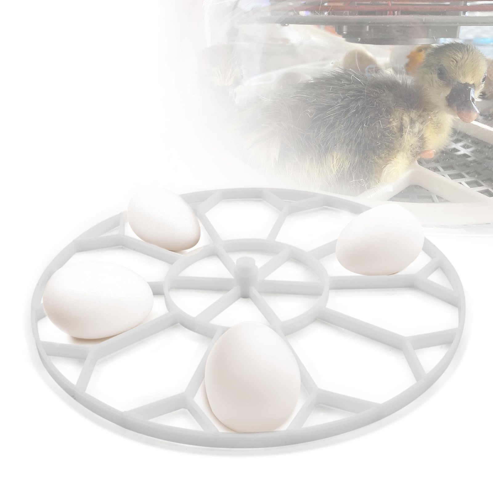 10 Egg Capacity Jumbo Goose Heavy Breeds Tray Compatible with Nurture Right 3...